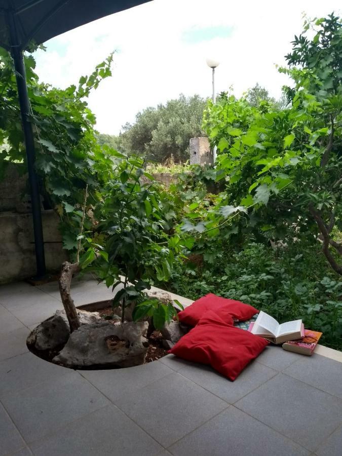 Apartments Cebalo - Ekonomija 科尔丘拉 外观 照片